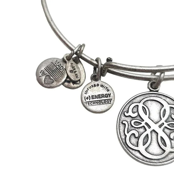 2013 Alex and Ani Path of Life Charm Bangle Bracelet Silver Tone Vintage - Picture 3 of 5